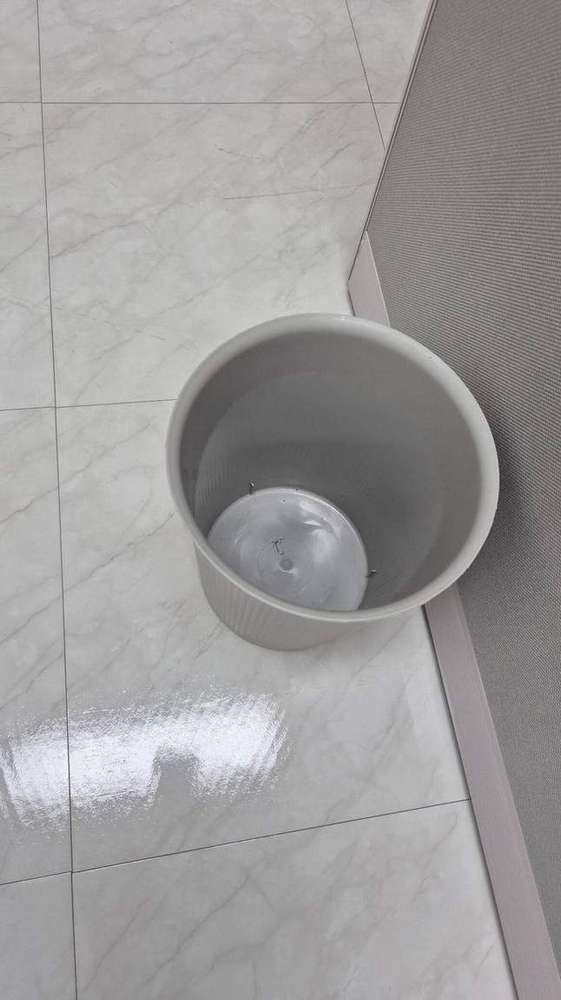 개인 쓰레기통 비우기